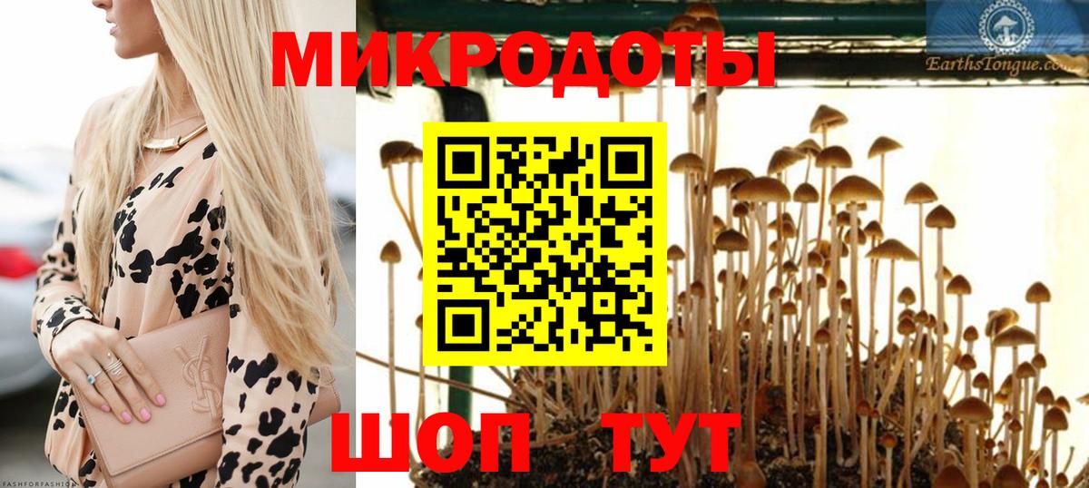 Сызрань  Галлюциногенные грибы мицелий  купить наркотики цена  Псилоцибиновые грибы Magic Shrooms  Вход с VPN 